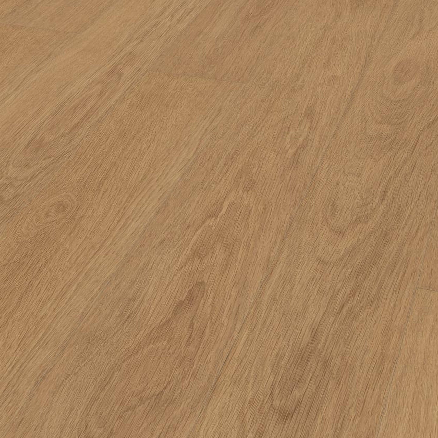 Trend Oak Nature - 12mm Water-Resistant Laminate Flooring (D90142)