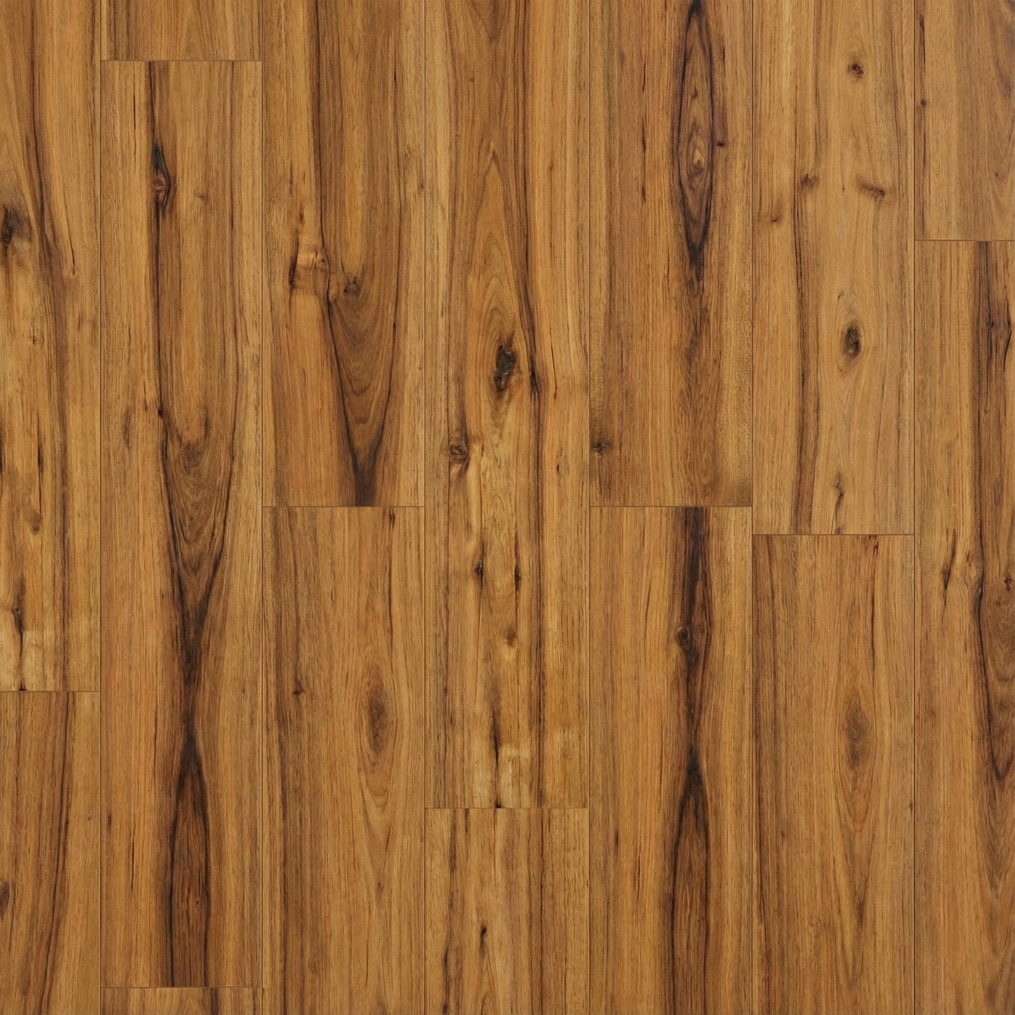 Hickory Sunday - Aqua Pro Water resistant 8.5mm High Gloss Laminate Flooring