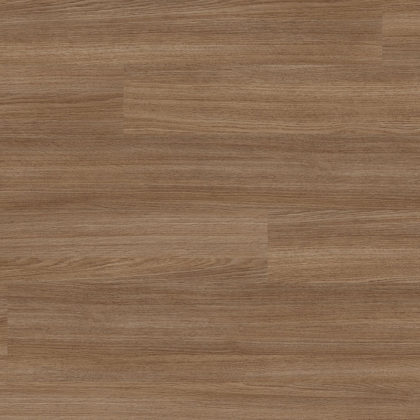Oak Aviva Fawn - Aqua Pro 8mm High Gloss Laminate Flooring