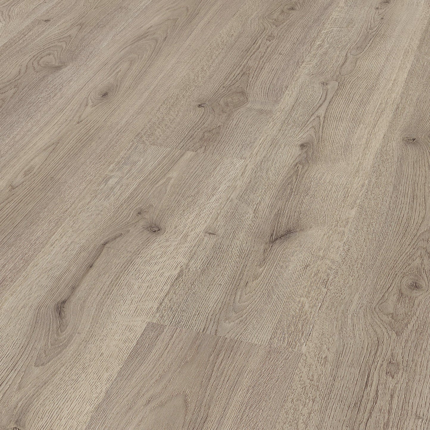 Trend Oak Grey - Advanced 8mm Laminate Flooring (85893)