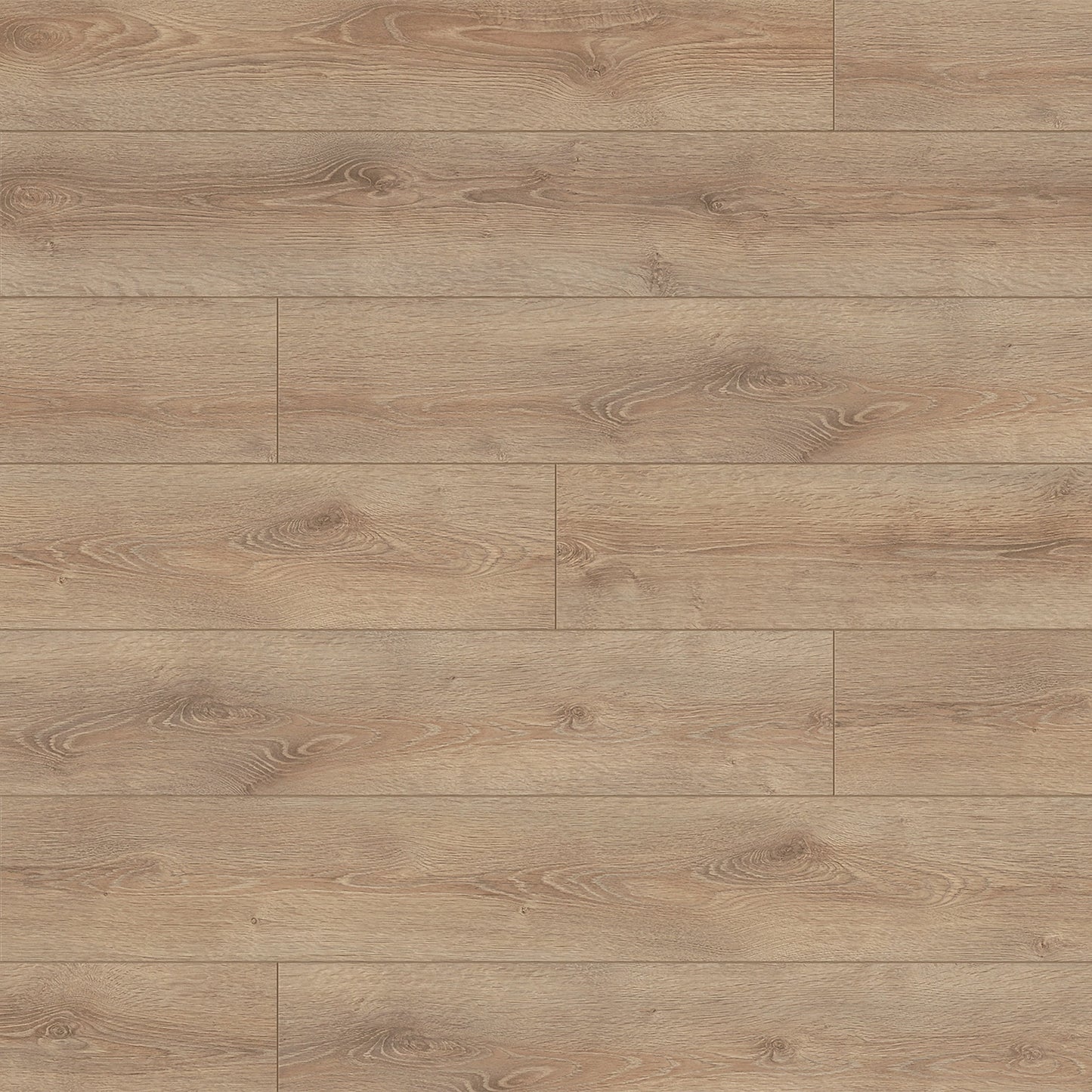 Clearwater Oak - Supernatural Classic 8mm Embossed Laminate Flooring (122560)