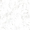 Roman Marble - Waterproof Wall Panelling